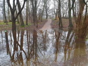 Annelies 10 Wandelen in Flevopark